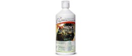 OFFICINALIS PRO MUSCLE  1L