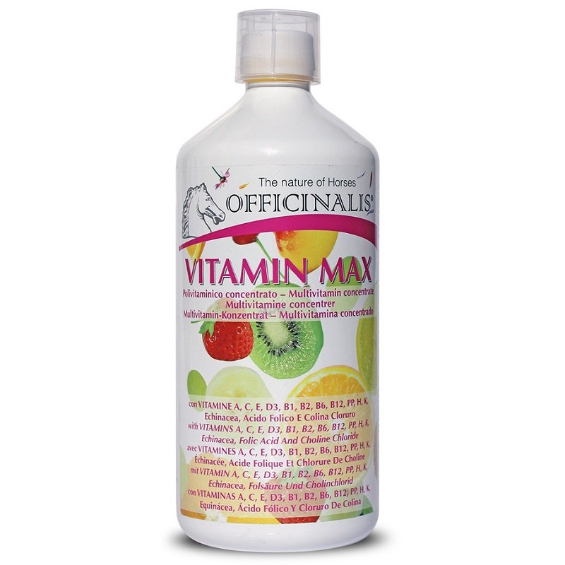OFFICINALIS VITAMIN MAX 1KG