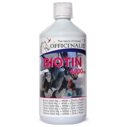 OFFICINALIS BIOTINE 5000 1KG