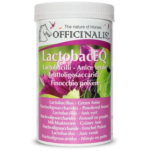 OFFICINALIS LACTOBAC EQ 800G