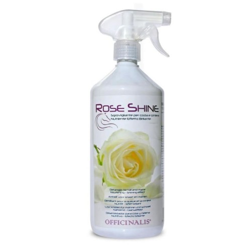 ROSE SHINE DISTRICANTE 250ML