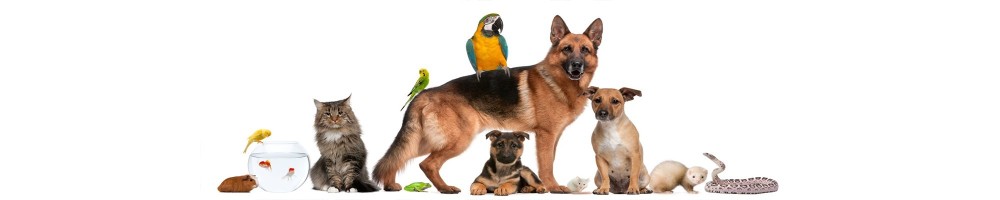 ANIMALI